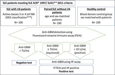 Absence of Anti-Glomerular Basement Membrane Antibodies in 200 Patients With Systemic Lupus Erythematosus With or Without Lupus Nephritis: Results of the GOODLUPUS Study